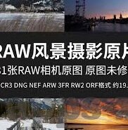 91麻豆在线观看-迷途勿入的警示，理智面对网络内容，拥抱健康生活