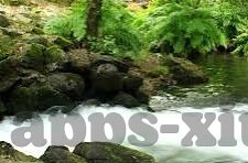 julai先锋影音中文字幕-探索Julai先锋影音的中文字幕魅力