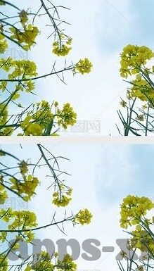 伦理影视-伦理影视，在光影中探寻人性的深度与边界