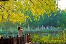 麻豆app02tv-解锁现代娱乐新视界，麻豆APP02TV的多元魅力探析
