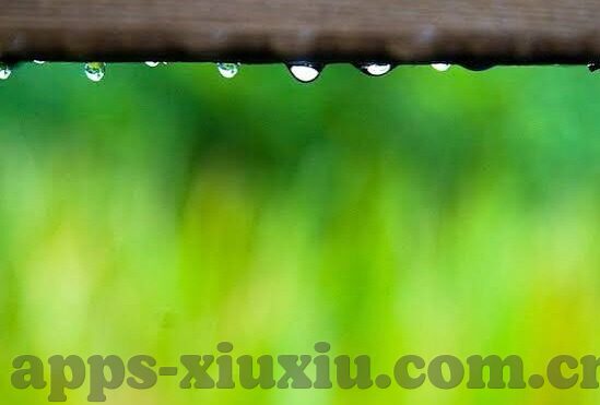 麻豆文化传媒官网最新下载-麻豆文化传媒官网发布最新下载版本——开启高清视听盛宴