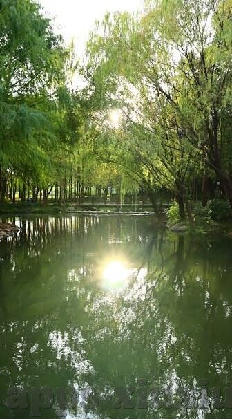 日韩人体av-探索日韩文化中的影视艺术，一个多维视角的剖析