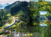 四虎人妻-探索四虎人妻现象，文化、社会与个体的交织