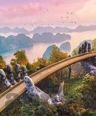 糖心app下载地址-了解糖心，深入探索与应用的全面指南